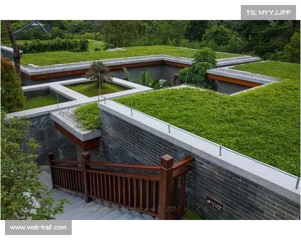 新兴县以禅宗文化与土鸡之乡特色举办拳击赛事助力提升城市知名度